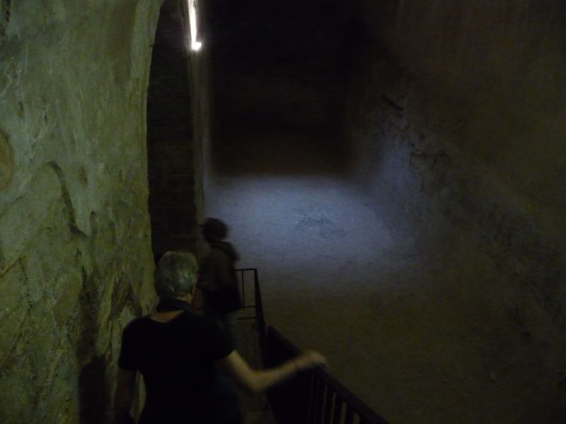 P1030142.JPG